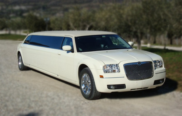 Hollywood 10 Passenger Limo